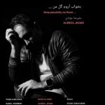 علیرضا جوادی – بخواب آروم گل من